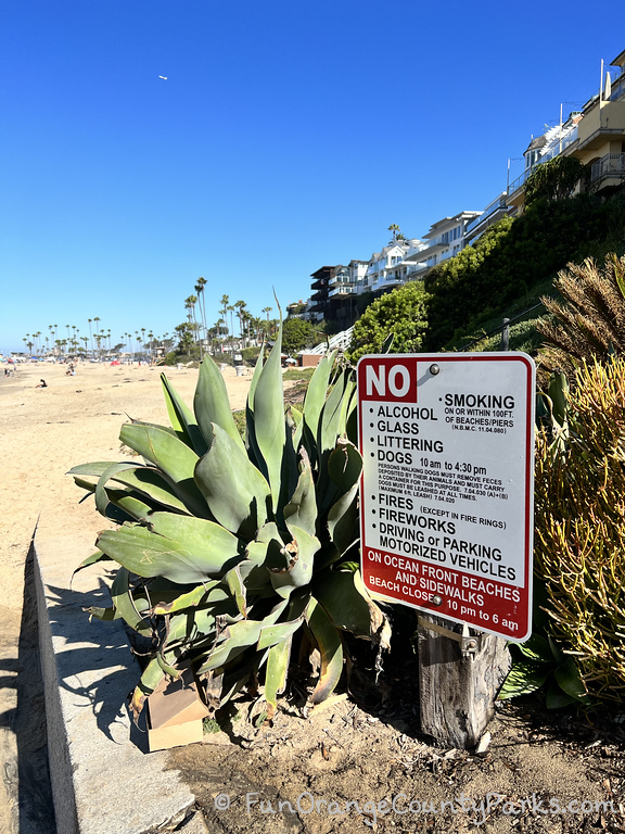 beach driving regulations