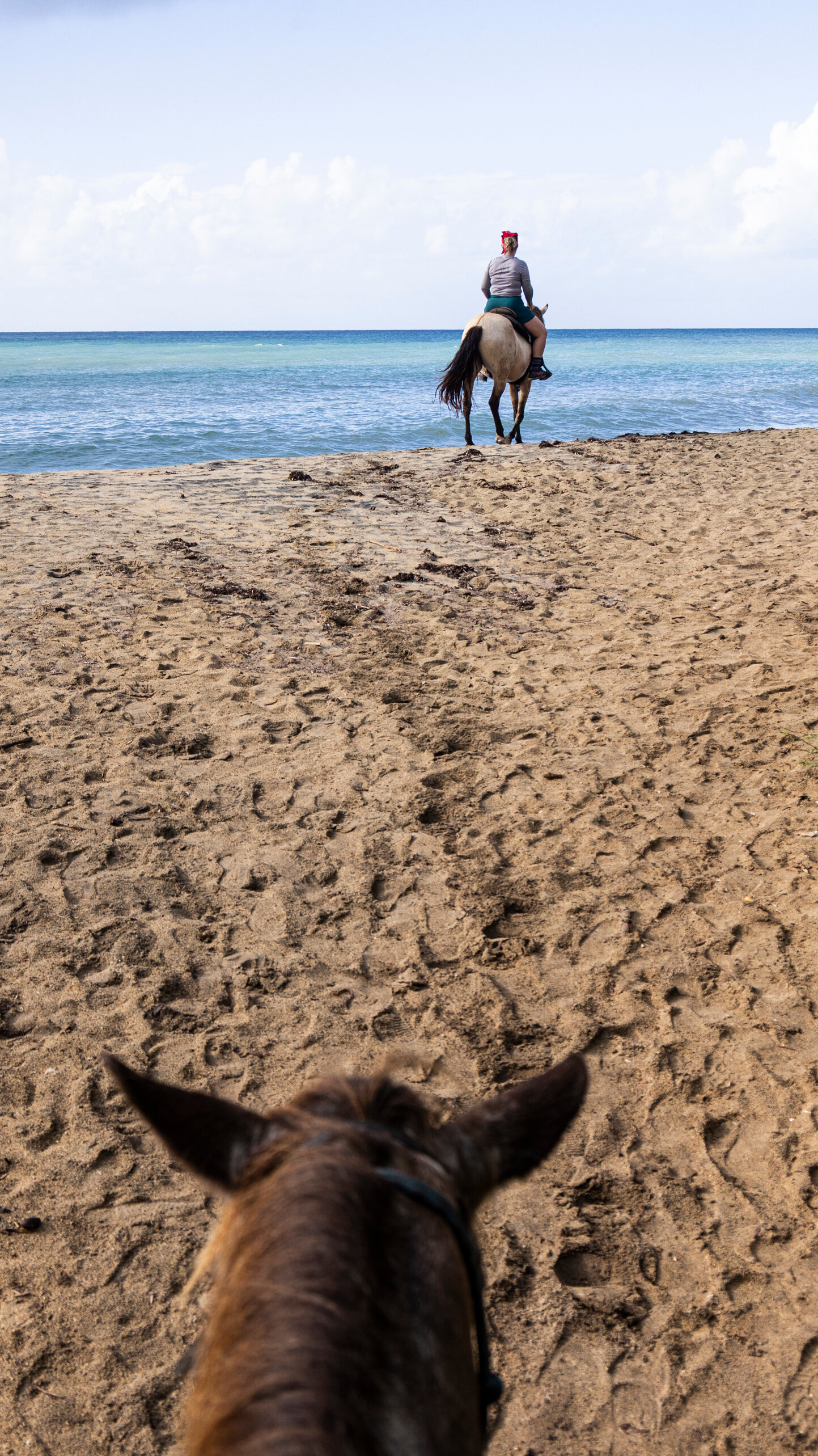 beach driving regulations