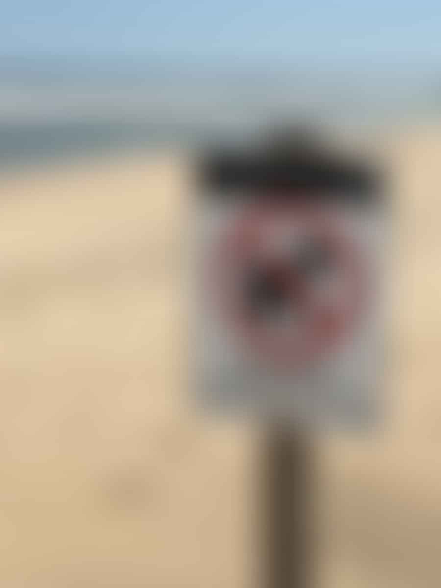 A sign depicting beach driving regulations