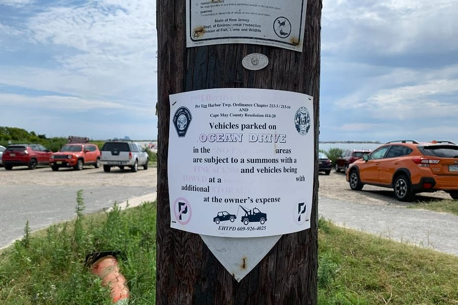 Designated beach driving area sign