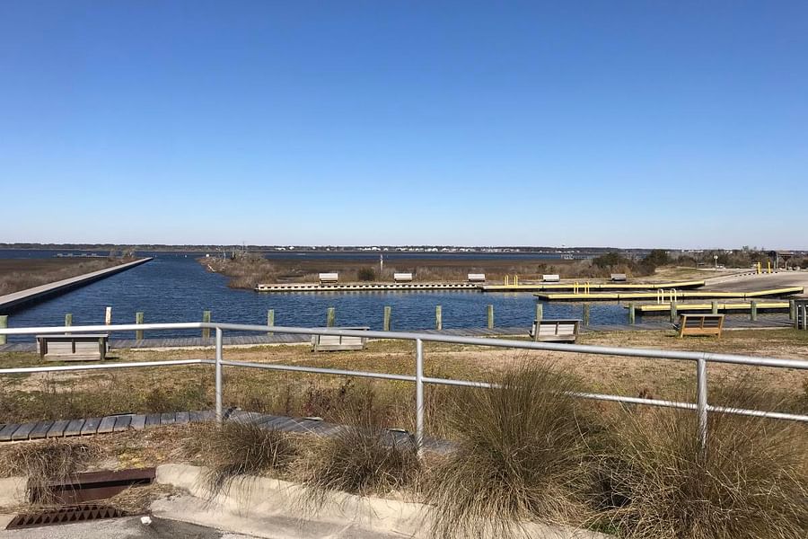 wildlife on Emerald Isle