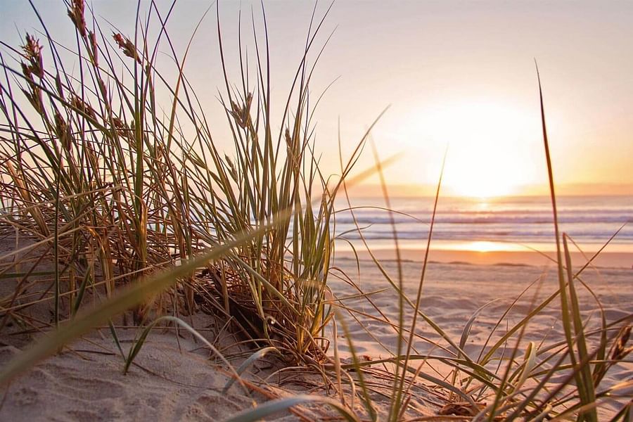 Bluewater Highway Surfside Beach vehicle entry