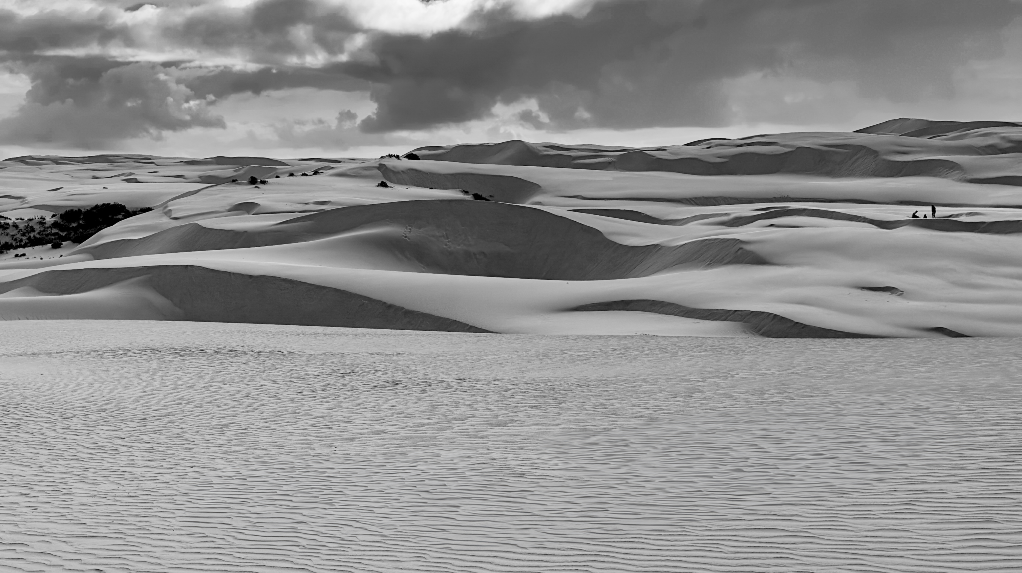 Pismo Beach off-road driving