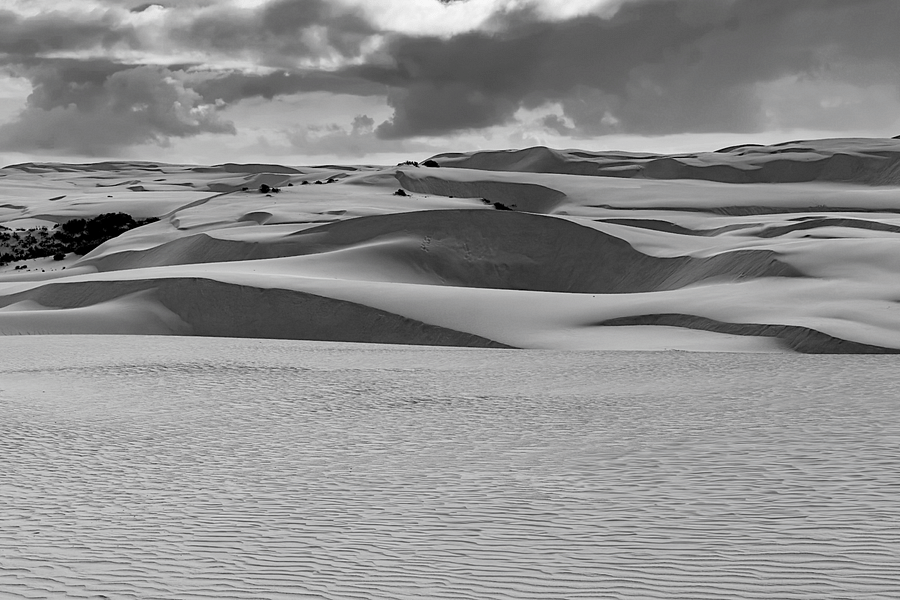 Pismo Beach off-road driving