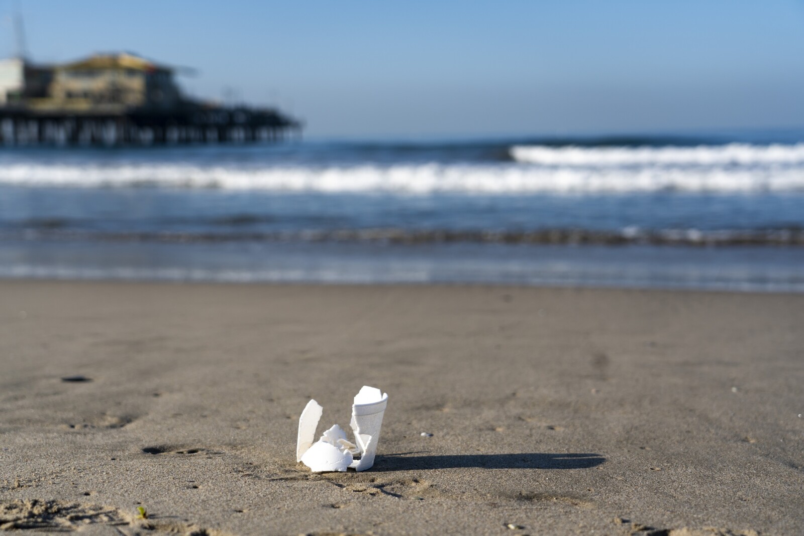 Ocean Conservancy action