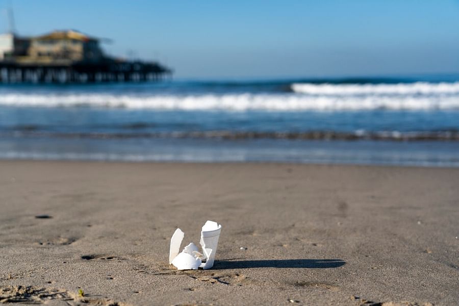 Ocean Conservancy action