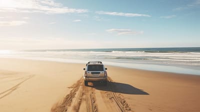 Beach Driving and the Environment: How to Uphold Environmental Stewardship While Enjoying the Sands