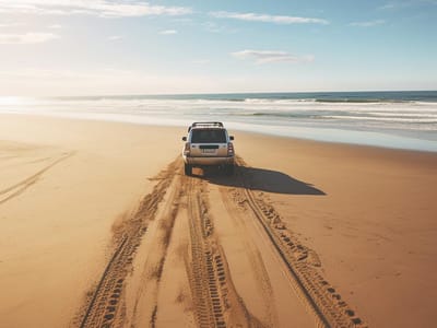 Beach Driving and the Environment: How to Uphold Environmental Stewardship While Enjoying the Sands