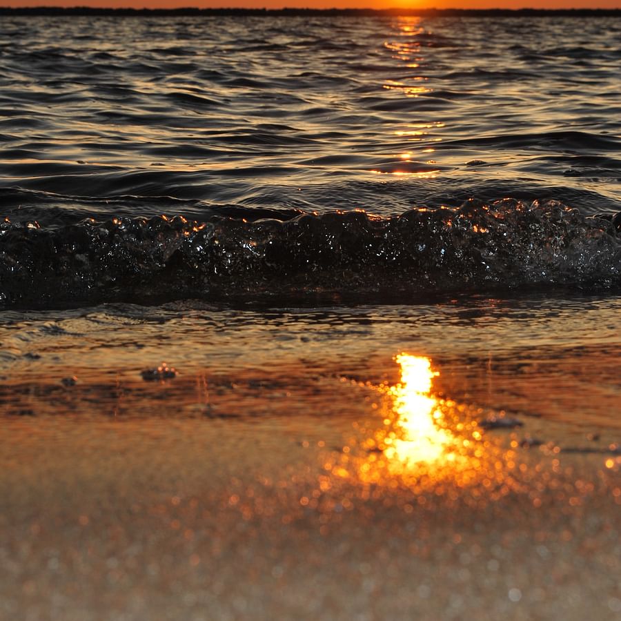 4x4 vehicle driving on a sandy beach with clear skies