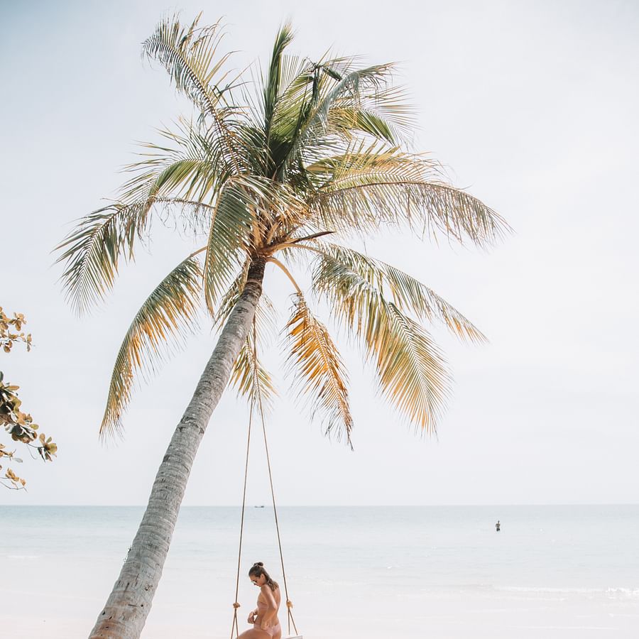 Multiple 4x4 vehicles enjoying a sunny day on the beach