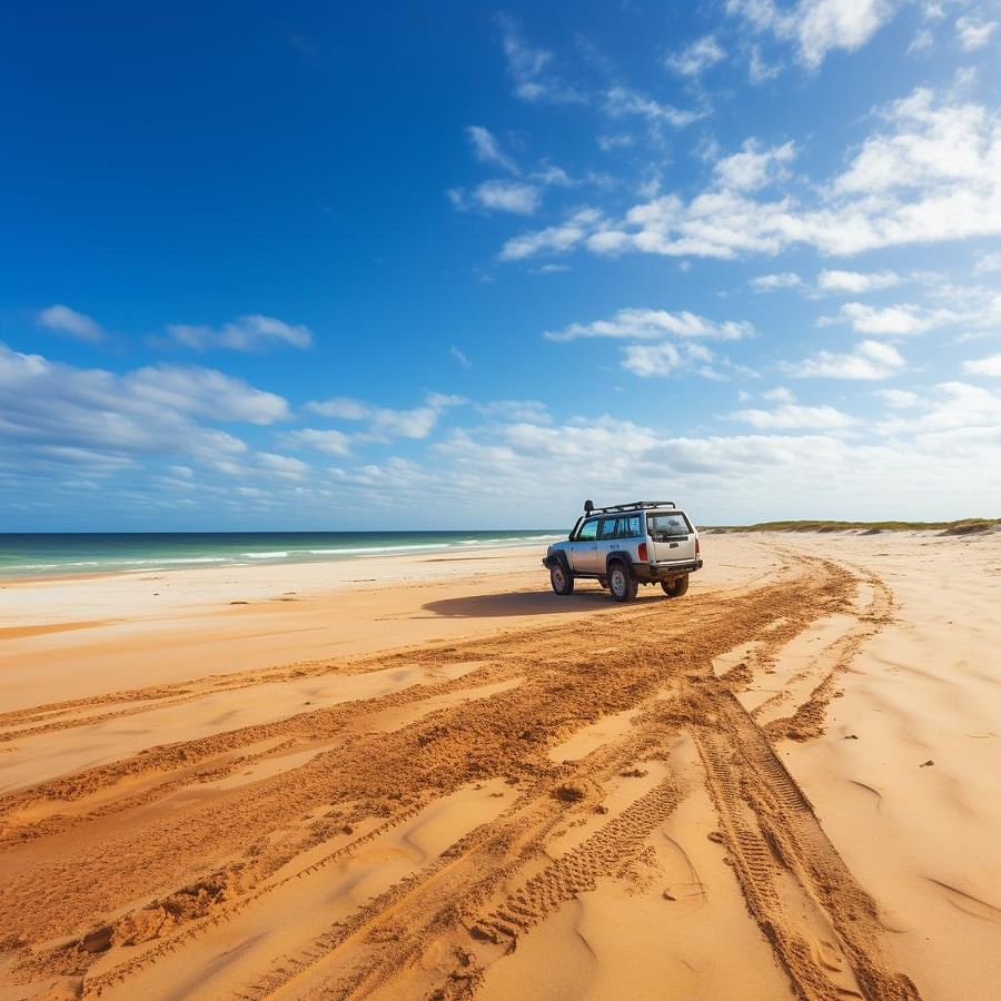 Discover the Top Access Points for Vehicle-friendly Beaches