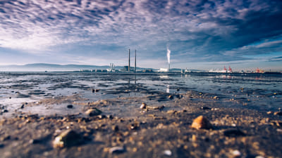 Reducing Your Environmental Footprint: Responsible Beach Driving Practices