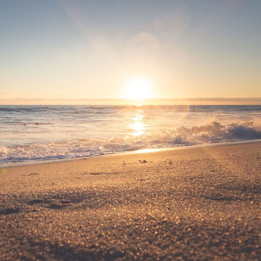 Florida beach driving violation ticket