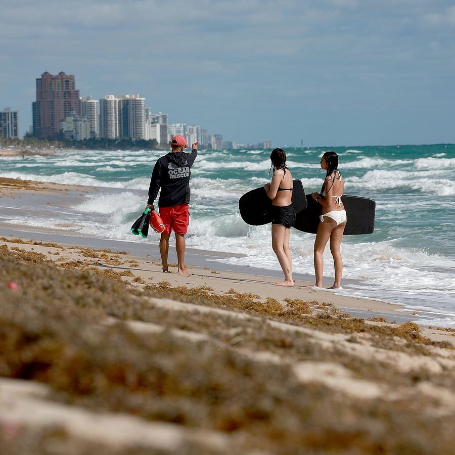 Screenshot of the Florida Beach Driving Permit application form