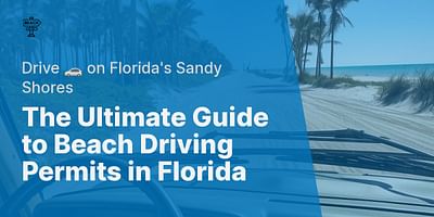 The Ultimate Guide to Beach Driving Permits in Florida - Drive 🚗 on Florida's Sandy Shores